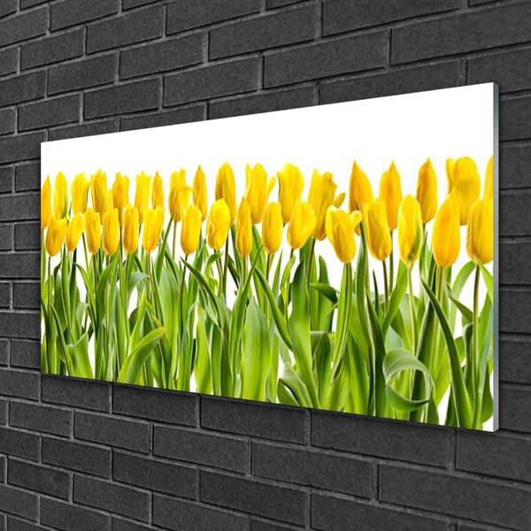 Quadro in vetro Tulipani Fiori della natura 100x50 cm 2 appendini