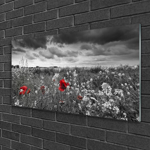 Quadro in vetro Prato Fiori Paesaggio 100x50 cm 2 appendini