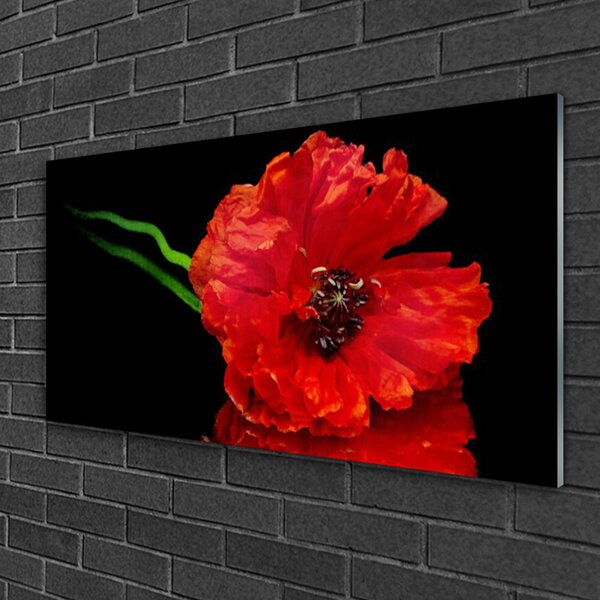 Quadro vetro Fiore di papavero Pianta naturale 100x50 cm 2 appendini