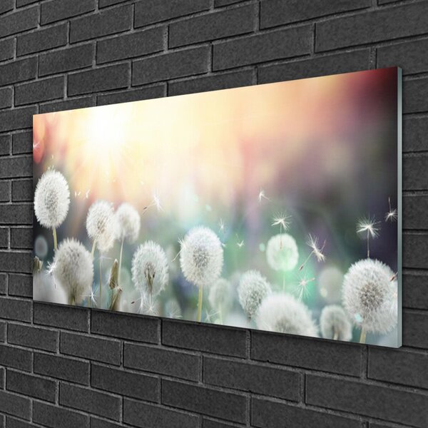 Quadro vetro Soffiatori Fiori di natura 100x50 cm 2 appendini