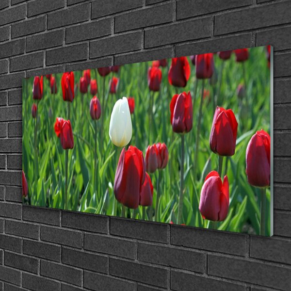 Quadro vetro Tulipani Fiori della natura 100x50 cm 2 appendini