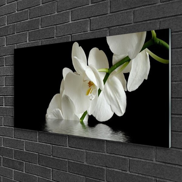 Quadro in vetro Orchidea in fiori d'acqua 100x50 cm 2 appendini