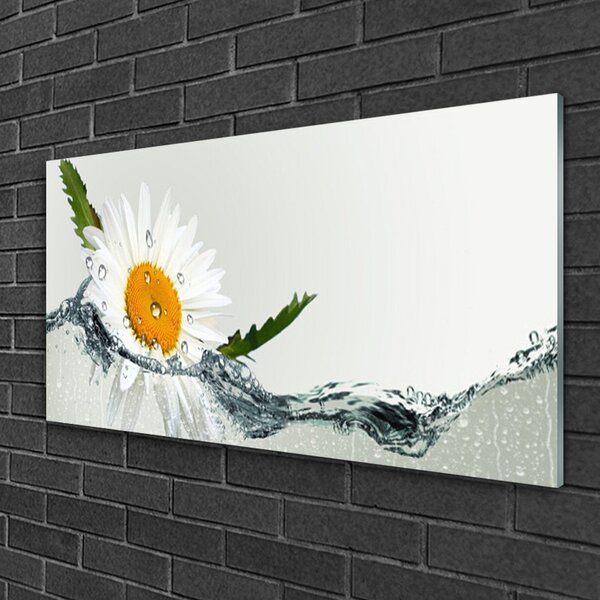 Quadro su vetro Margherita in acqua Pianta 100x50 cm 2 appendini