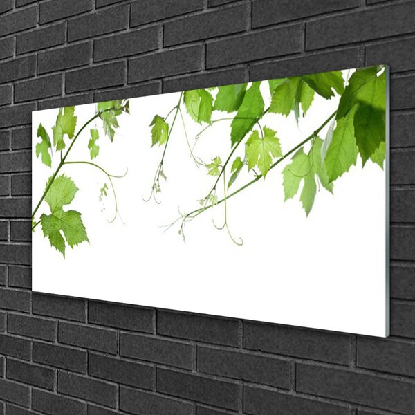 Quadro su vetro Rami Foglie Natura Fiori 100x50 cm 2 appendini