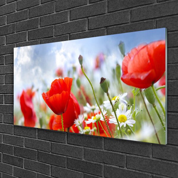 Quadro su vetro Margherite papaveri Fiori 100x50 cm 2 appendini