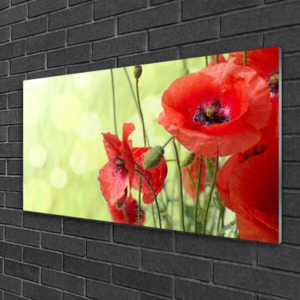 Quadro in vetro Papaveri Pianta Naturale 100x50 cm 2 appendini
