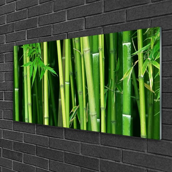 Quadro di vetro Foresta di bambù Natura bambù 100x50 cm 2 appendini