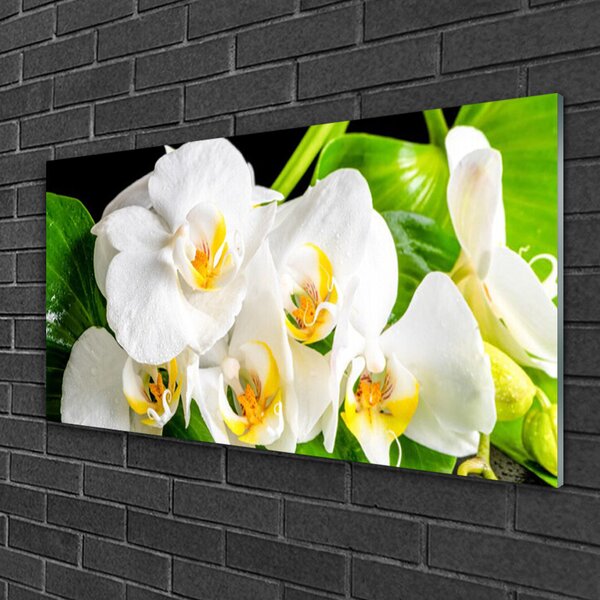 Quadro in vetro Orchidea Fiori della natura 100x50 cm 2 appendini
