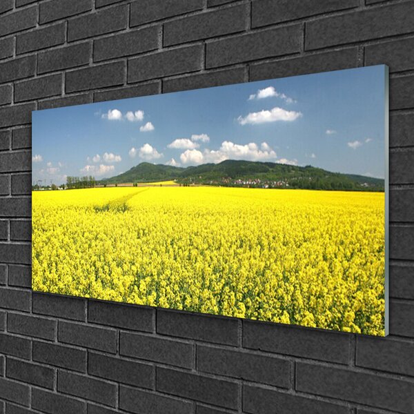 Quadro vetro Campo Prato Natura Ratto 100x50 cm 2 appendini