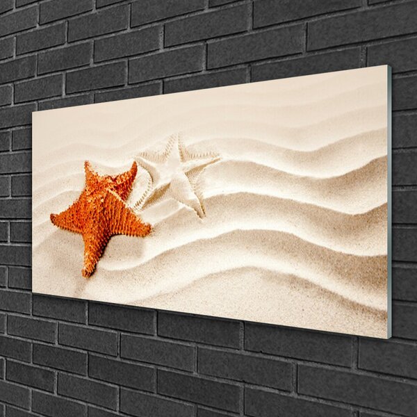 Quadro vetro Stella marina sulla spiaggia di sabbia 100x50 cm 2 appendini