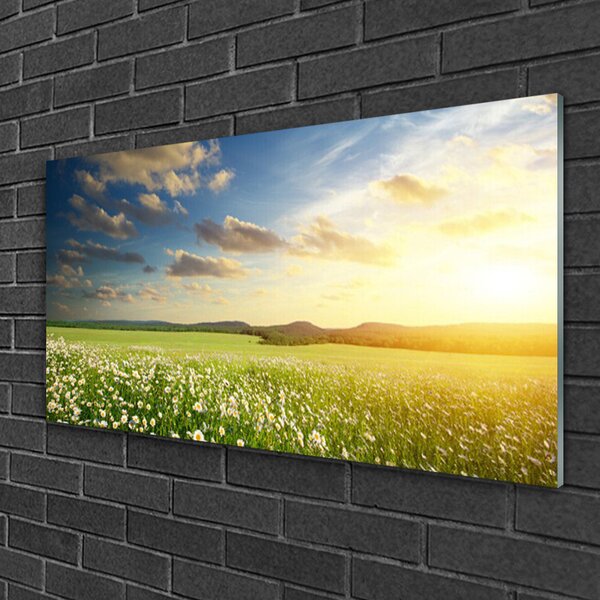 Quadro vetro Prato Fiori Paesaggio 100x50 cm 2 appendini