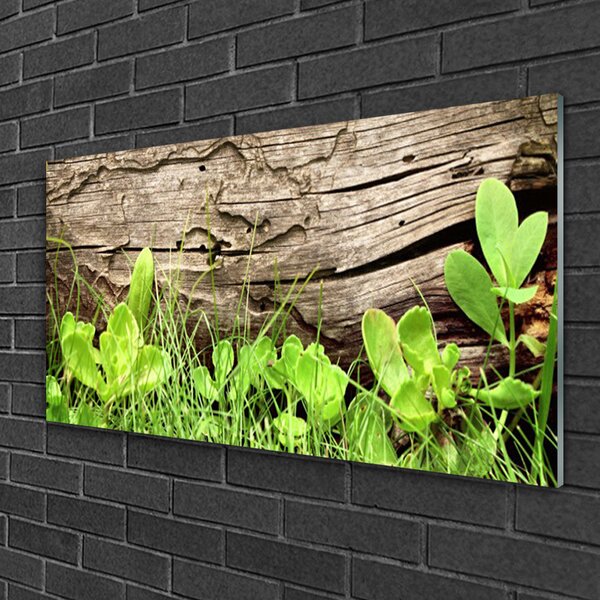 Quadro in vetro Foglie d'erba Fiori 100x50 cm 2 appendini