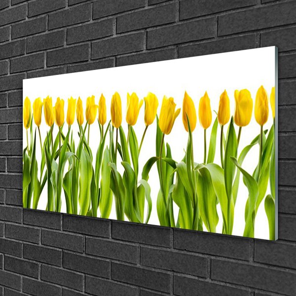 Quadro vetro Tulipani Fiori della natura 100x50 cm 2 appendini