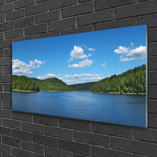 Quadro di vetro Paesaggio della Foresta del Lago 100x50 cm 2 appendini