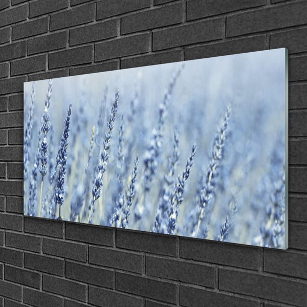 Quadro in vetro Fiori Spighe Prato Natura 100x50 cm 2 appendini