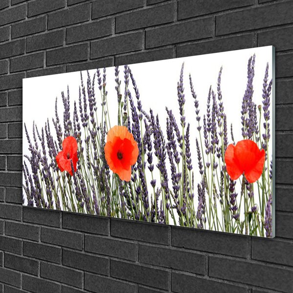 Quadro in vetro Fiori Papaveri Campo di erba 100x50 cm 2 appendini