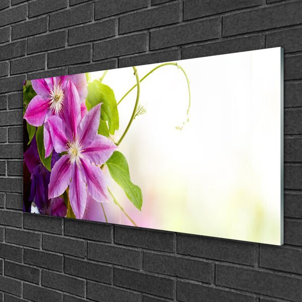 Quadro su vetro Fiori Natura Natura 100x50 cm 2 appendini
