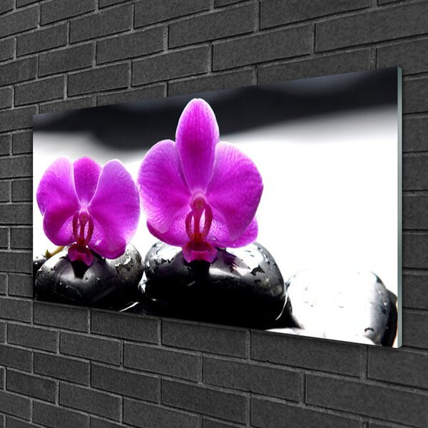 Quadro su vetro Fiori Orchidea Natura 100x50 cm 2 appendini