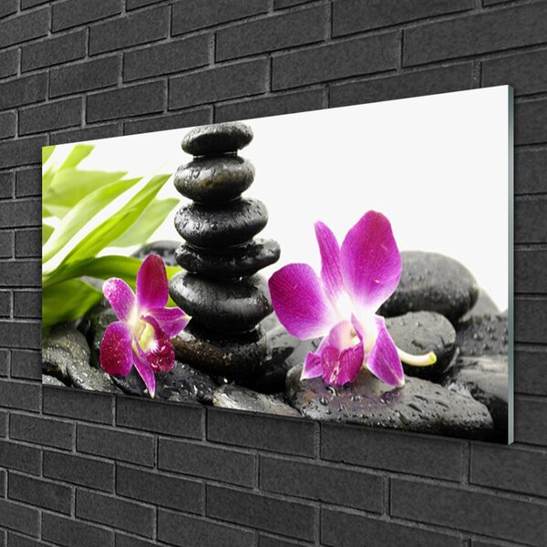 Quadro su vetro Pietre di orchidea Zen Spa 100x50 cm 2 appendini