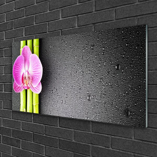 Quadro vetro Fiori di orchidea di bambù 100x50 cm 2 appendini