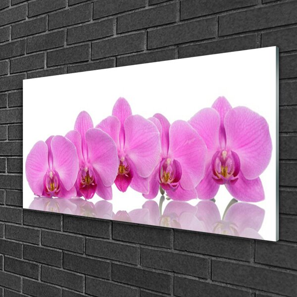 Quadro in vetro Fiori di orchidea rosa 100x50 cm 2 appendini