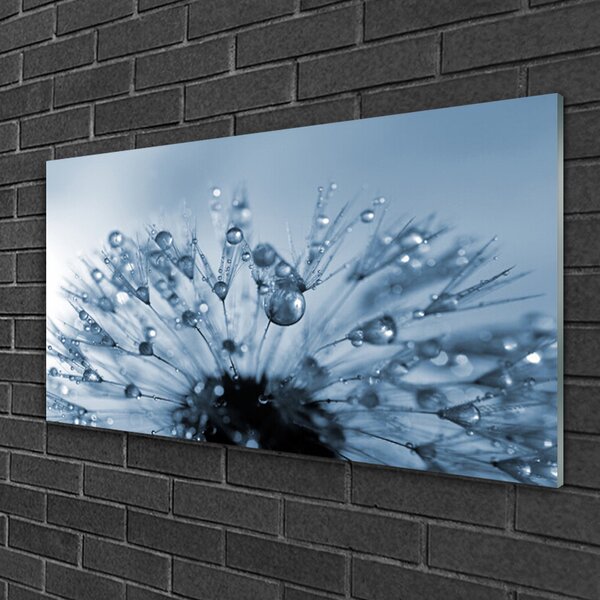 Quadro di vetro Gocce di fiori soffiati 100x50 cm 2 appendini
