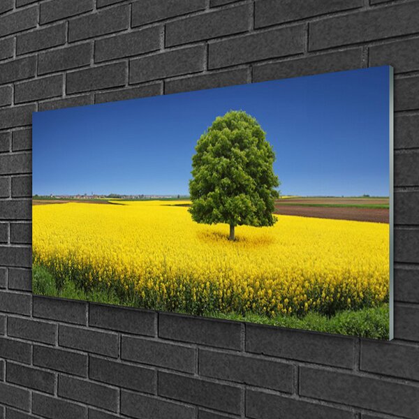 Quadro su vetro Campo naturale di Meadow Tree 100x50 cm 2 appendini