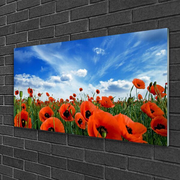 Quadro in vetro Fiori di papaveri da prato 100x50 cm 2 appendini
