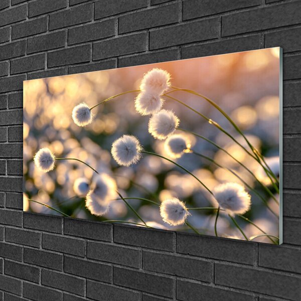 Quadro su vetro Fiori Pianta naturale 100x50 cm 2 appendini