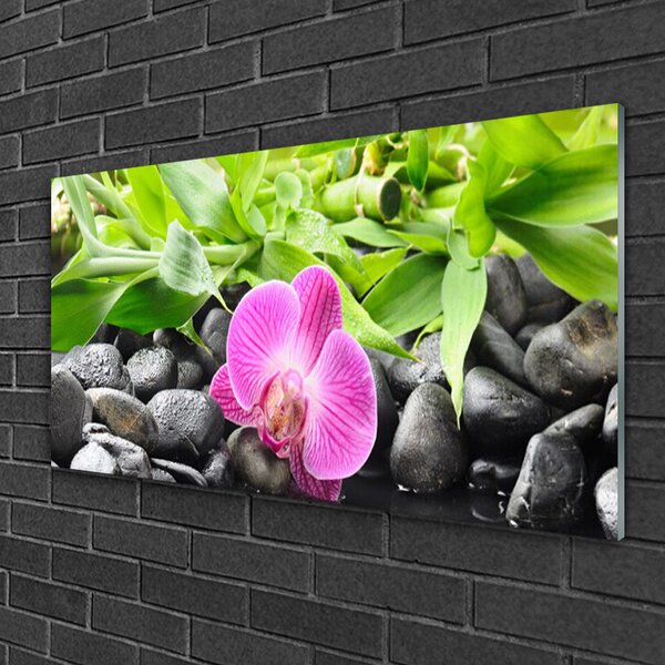Quadro vetro Fiori Pianta di orchidea 100x50 cm 2 appendini