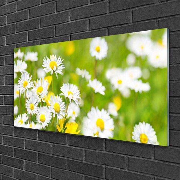 Quadro in vetro Pianta di fiori di margherita 100x50 cm 2 appendini
