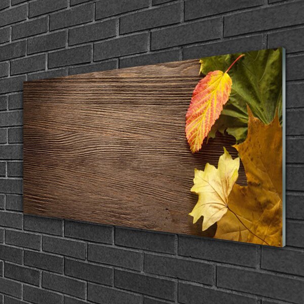 Quadro vetro Foglie Fiori Natura 100x50 cm 2 appendini