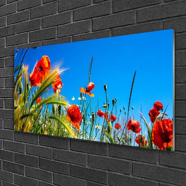Quadro in vetro Fiori Papaveri Campo di erba 100x50 cm 2 appendini