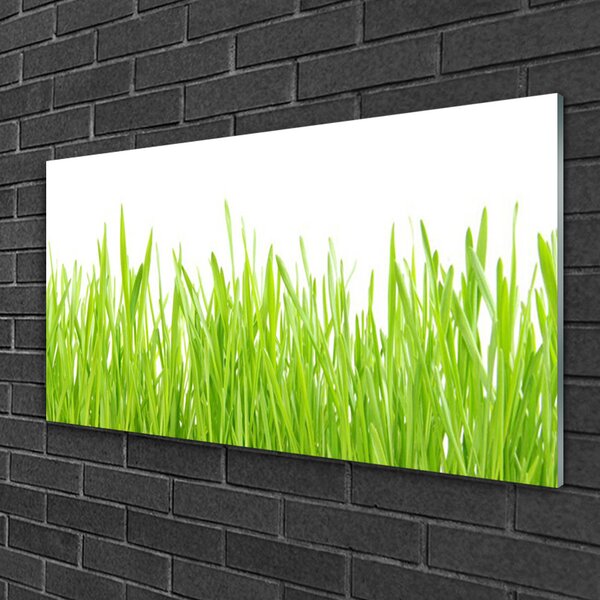 Quadro in vetro Erba Natura Pianta 100x50 cm 2 appendini