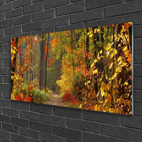 Quadro su vetro Foresta Natura Autunno 100x50 cm 2 appendini