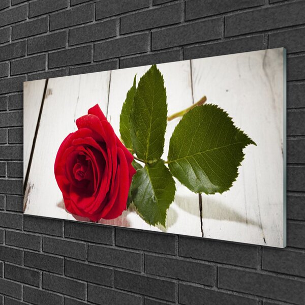 Quadro su vetro Fiore di rosa pianta naturale 100x50 cm 2 appendini