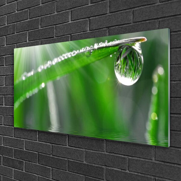 Quadro in vetro Gocciolina Rosa Foglia Erba 100x50 cm 2 appendini