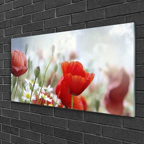 Quadro in vetro Fiori Petali Pianta 100x50 cm 2 appendini