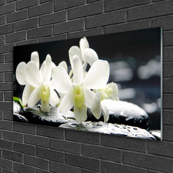 Quadro di vetro Pietre Fiori Orchidea 100x50 cm 2 appendini