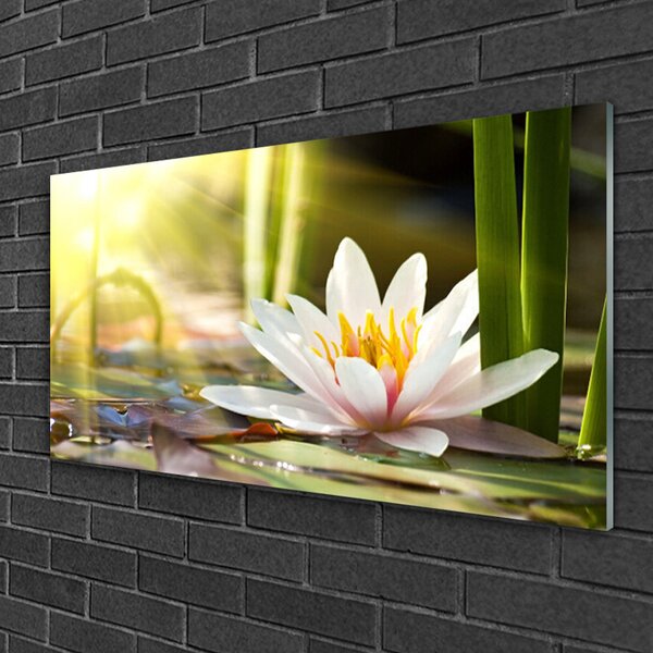 Quadro vetro Fiore di ninfea 100x50 cm 2 appendini