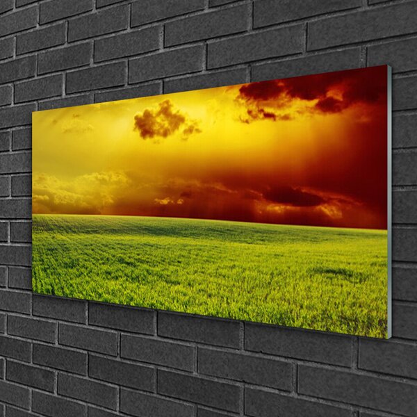 Quadro su vetro Paesaggio di campo 100x50 cm 2 appendini