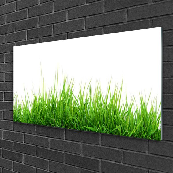 Quadro vetro Erba Natura Pianta 100x50 cm 2 appendini