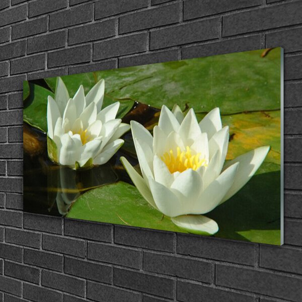 Quadro su vetro Fiori Piante Natura 100x50 cm 2 appendini