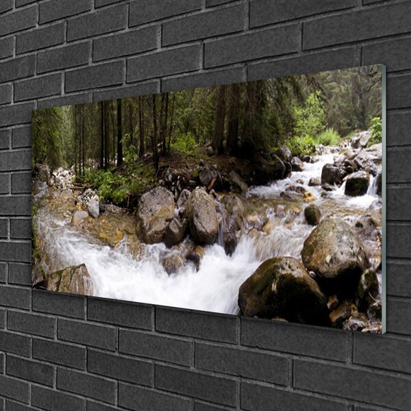 Quadro in vetro Cascate di Forest River 100x50 cm 2 appendini