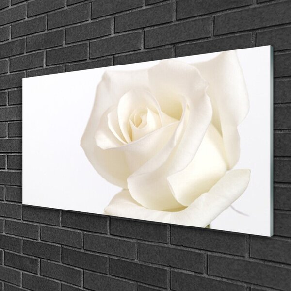 Quadro di vetro Fiori di rosa 100x50 cm 2 appendini
