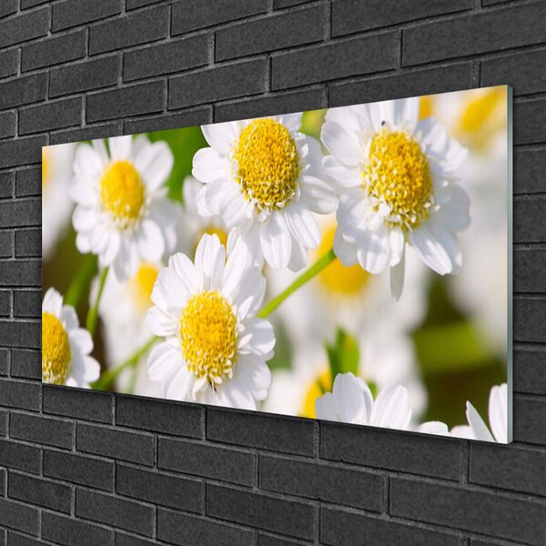 Quadro in vetro Margherita Fiori della natura 100x50 cm 2 appendini
