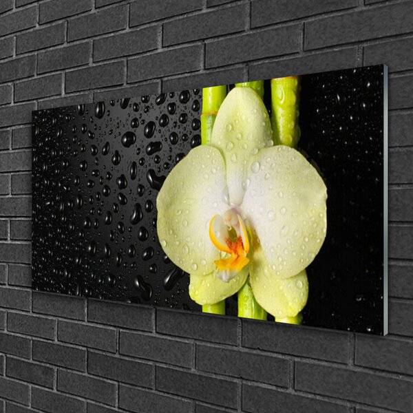 Quadro su vetro Fiori di orchidea di bambù 100x50 cm 2 appendini