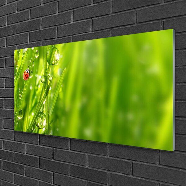 Quadro su vetro Erba coccinella Natura 100x50 cm 2 appendini