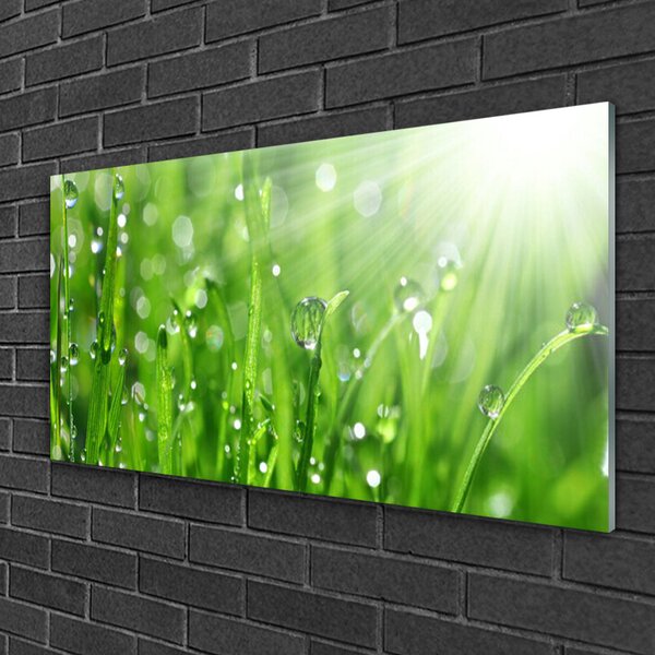 Quadro su vetro Gocce di erba naturale 100x50 cm 2 appendini