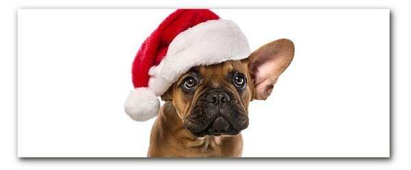Quadro in vetro Bulldog cane di Natale 100x50 cm 2 appendini